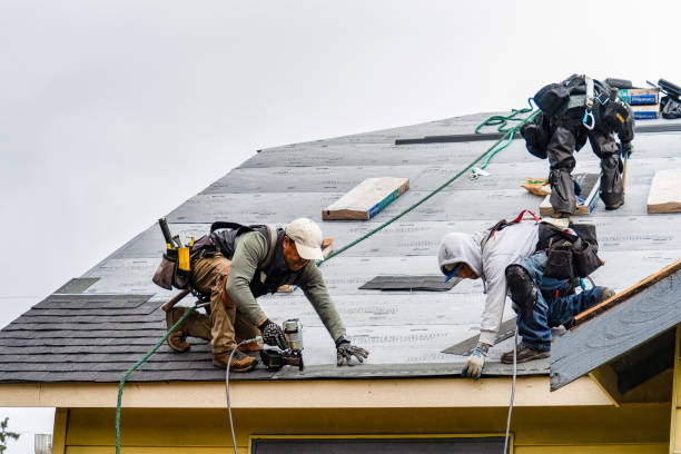 Professional Gutter Installation technician working in Murrayville, GA